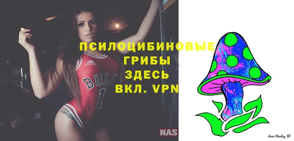 гашиш Осинники