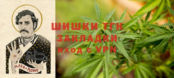 дурь Осташков