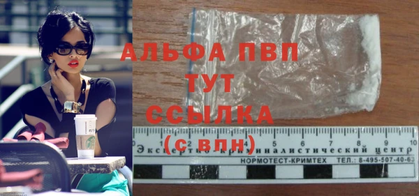 дурь Осташков