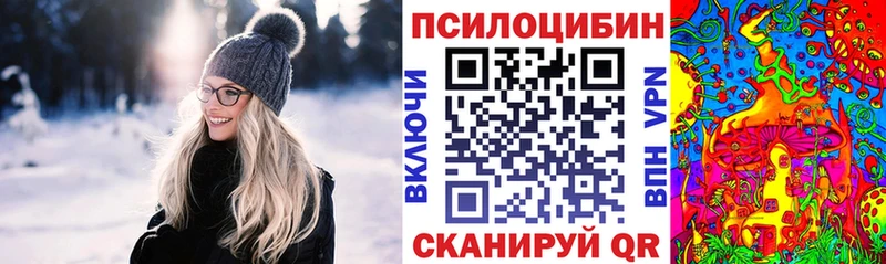 кракен онион  Нюрба  Галлюциногенные грибы Psilocybine cubensis 